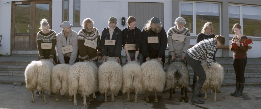 „Barany. Islandzka opowieść” – reż. Grímur Hákonarson 