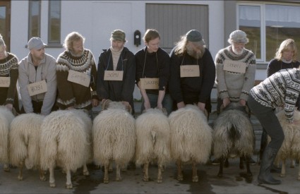 „Barany. Islandzka opowieść” – reż. Grímur Hákonarson