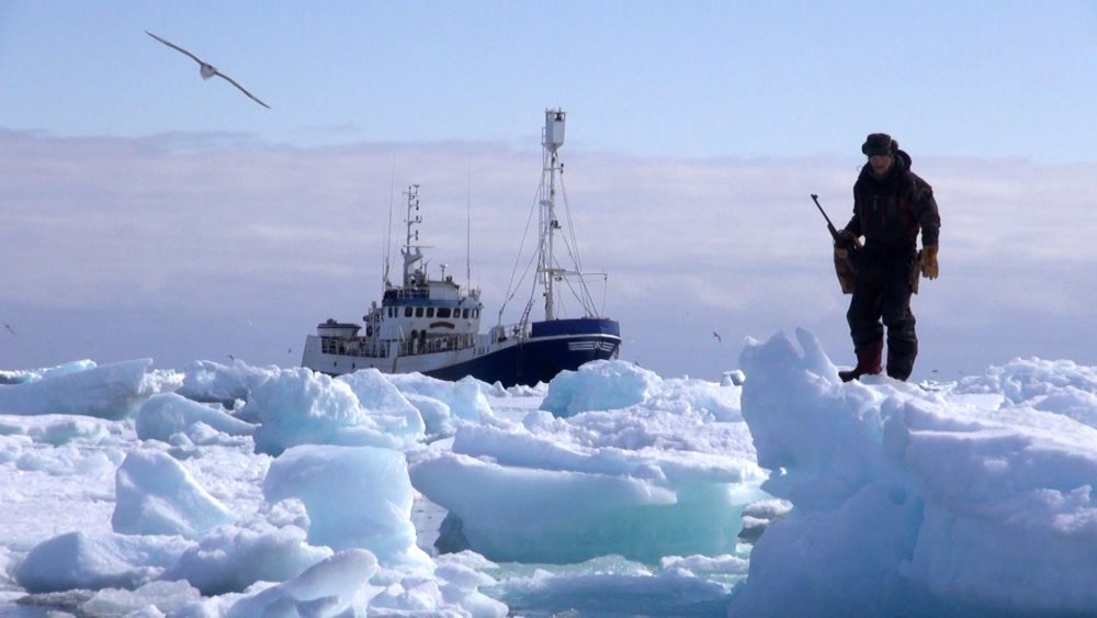 NORTH PITCH – Below Zero 2018: otwarty nabór na projekty filmów dokumentalnych dotyczące życia za arktycznym kołem podbiegunowym 