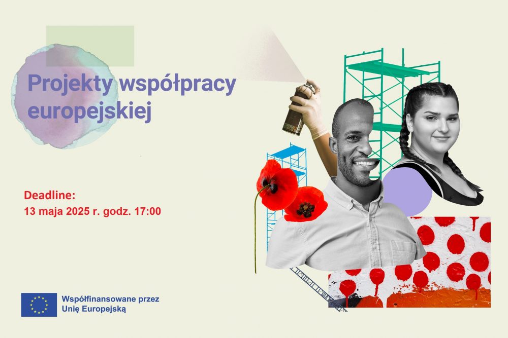 Projekty współpracy europejskiej 2025 | nabór wniosków otwarty 